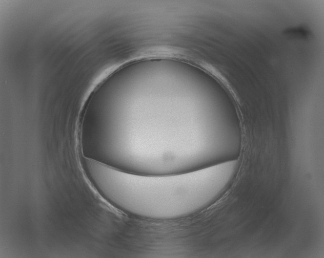 X0000051861477200506240949