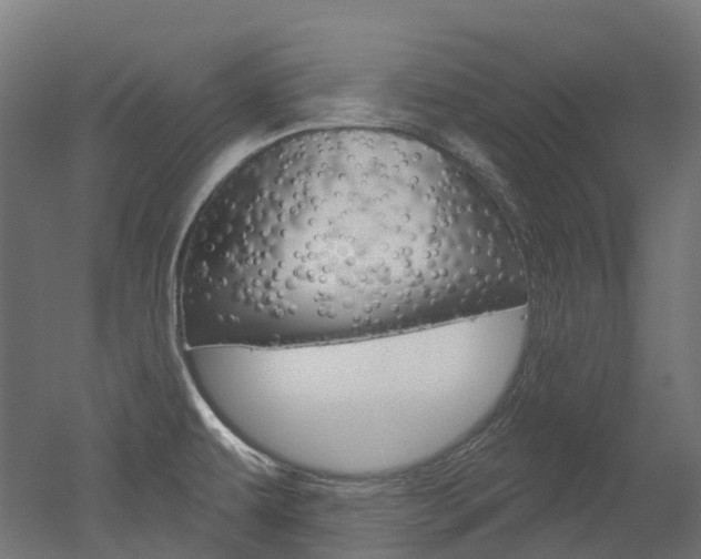 X0000051861479200506240949