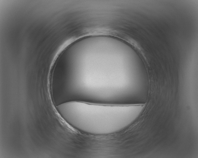 X0000051861480200506240949
