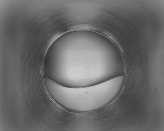 X0000051861481200506240949