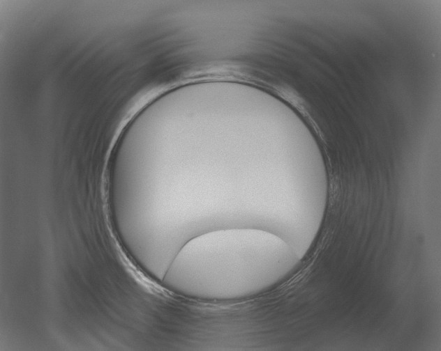 X0000051861482200506240949