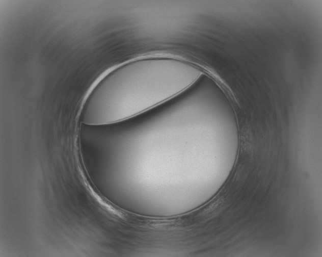 X0000051861484200506240949
