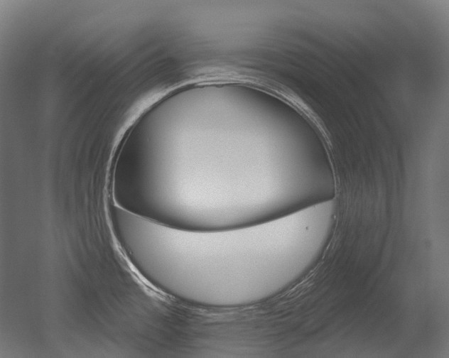 X0000051861485200506240949