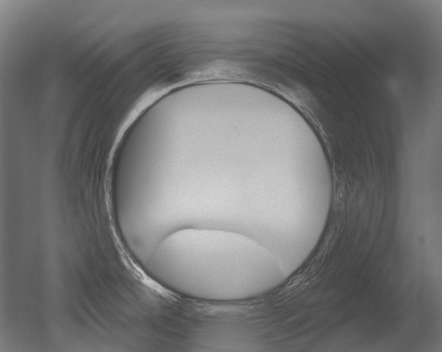 X0000051861486200506240949