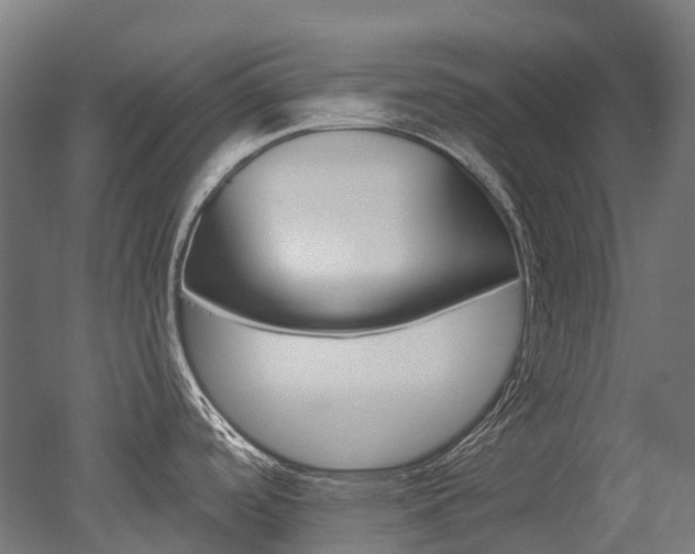 X0000051861488200506240949
