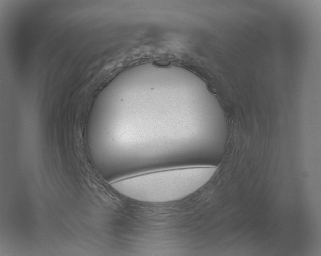 X0000051861489200506240948
