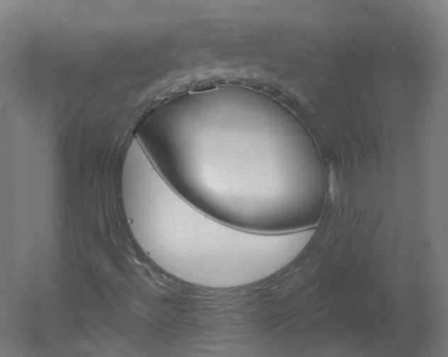 X0000051861492200506240948