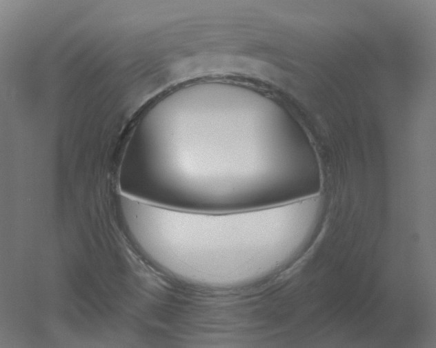 X0000051861497200506240948
