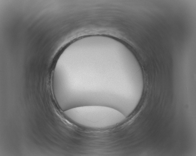 X0000051861498200506240948