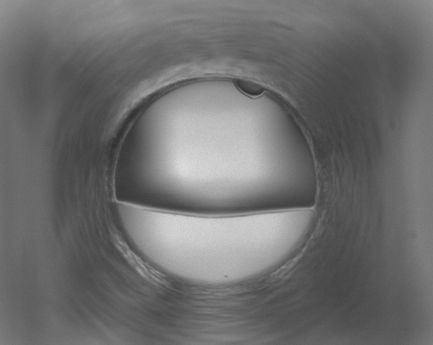 X0000051861499200506240948