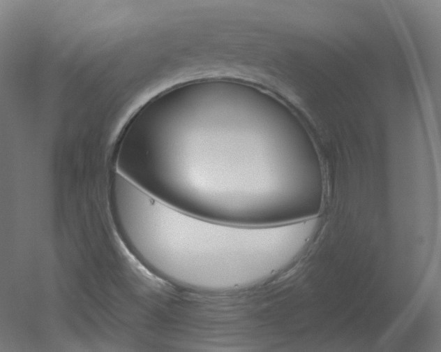 X0000051861500200506240948