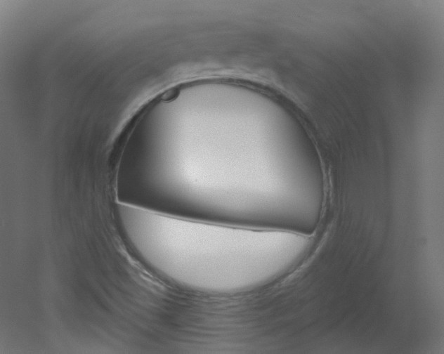 X0000051861501200506240948