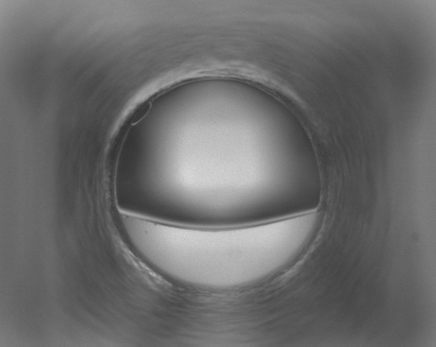 X0000051861506200506240949