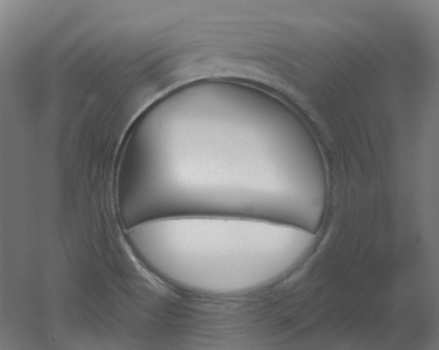 X0000051861513200506240949