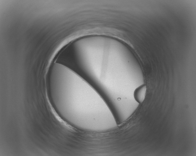 X0000051861515200506240949