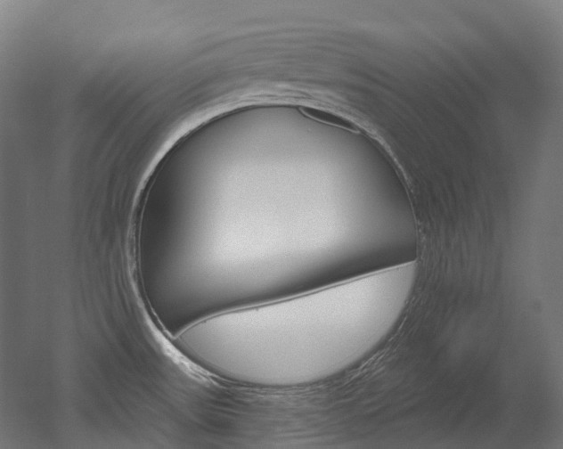 X0000051861531200506240949