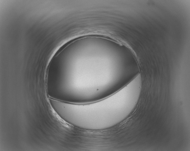 X0000051861532200506240949