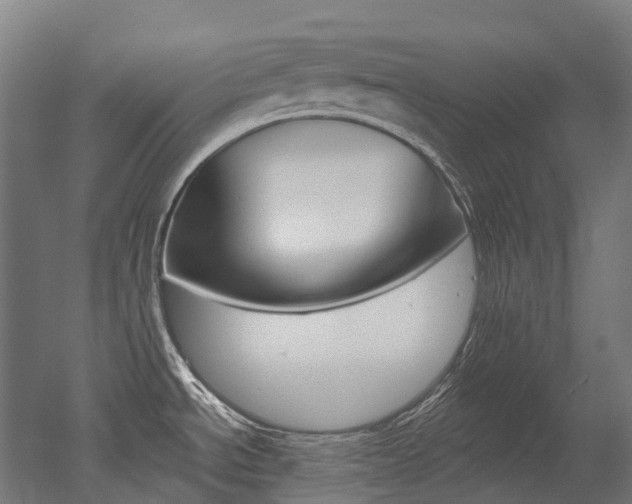X0000051861534200506240949