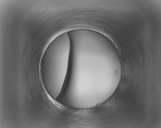 X0000051861535200506240949