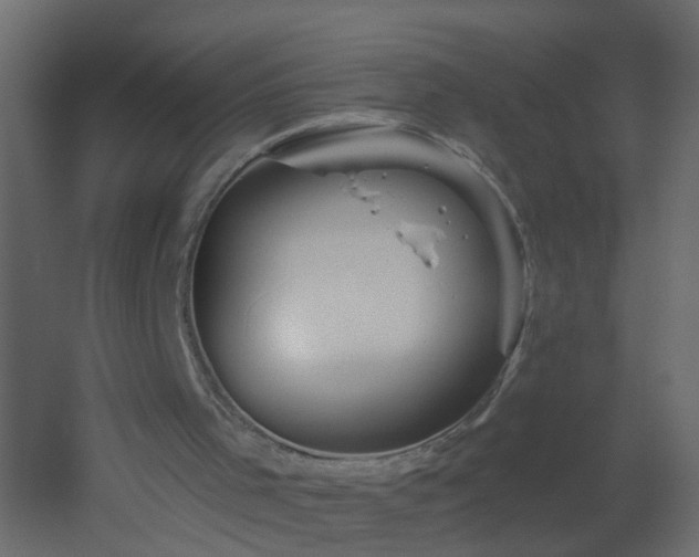 X0000051860001200506241333