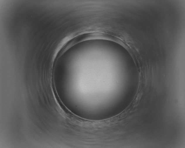 X0000051860003200506241333