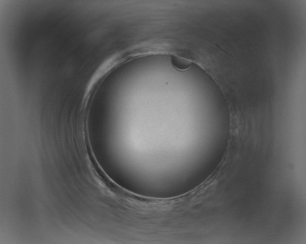 X0000051860004200506241333