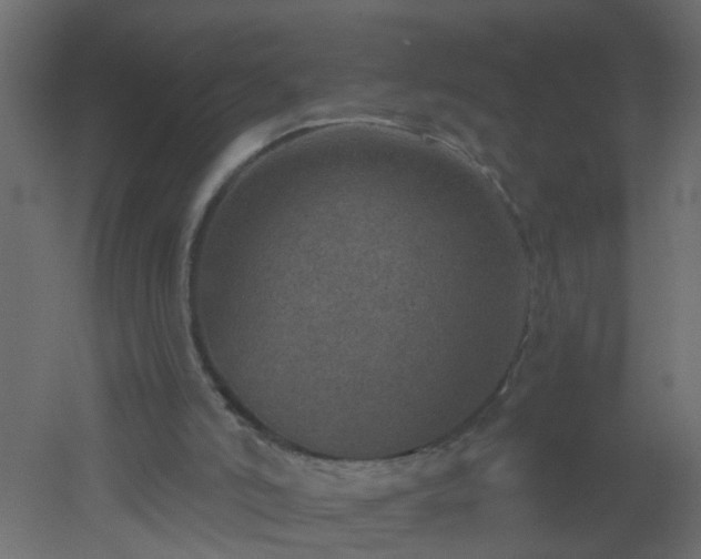 X0000051860006200506241333