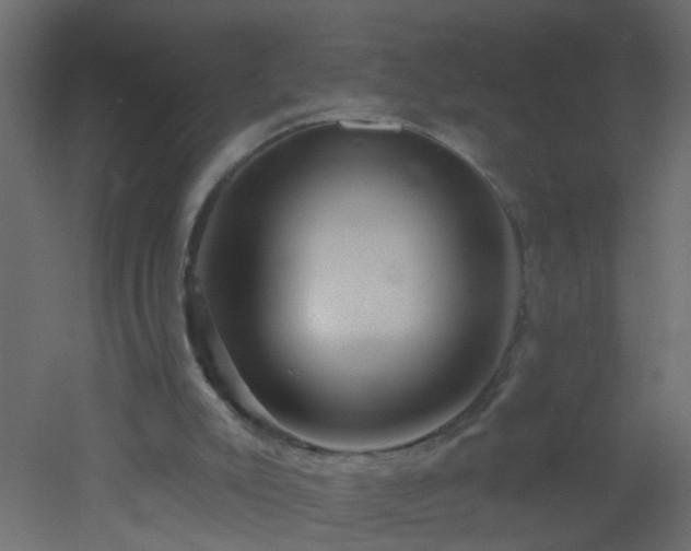 X0000051860007200506241333