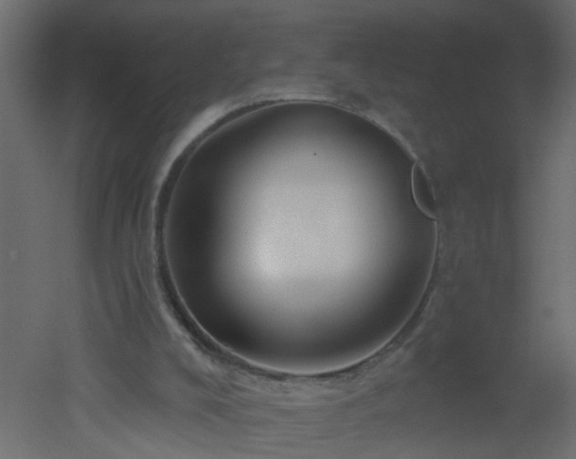 X0000051860008200506241333