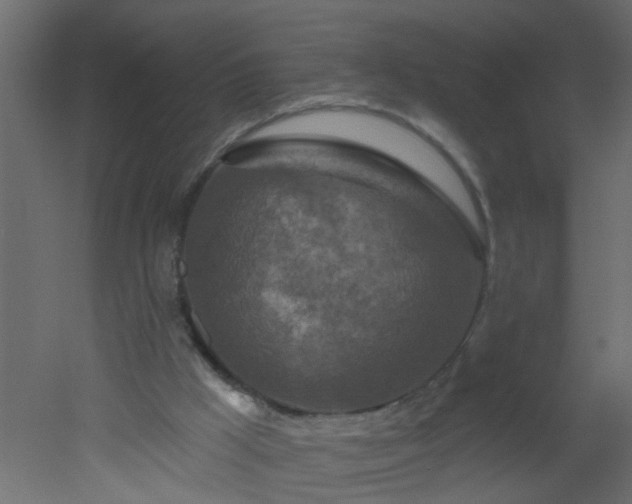 X0000051860009200506241333