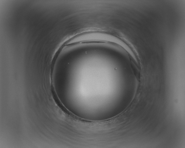 X0000051860011200506241333