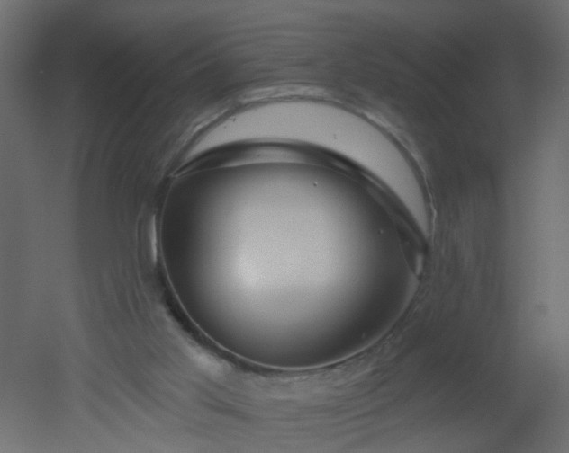 X0000051860013200506241333