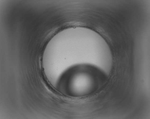 X0000051860014200506241333