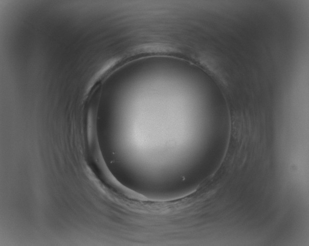 X0000051860015200506241333