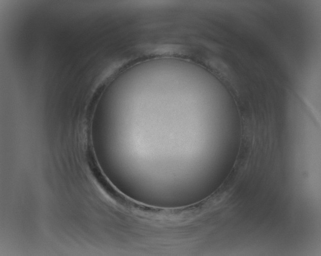 X0000051860016200506241333