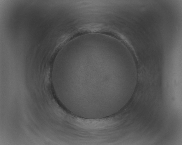 X0000051860018200506241333