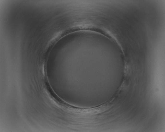 X0000051860019200506241333