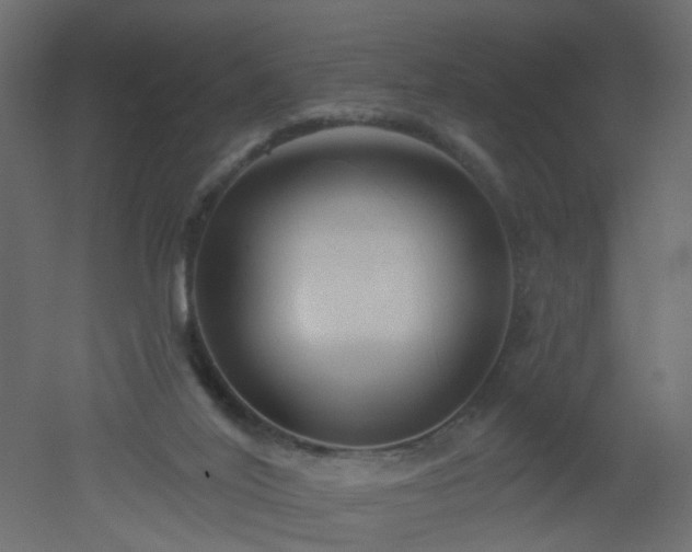 X0000051860020200506241333