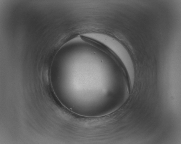 X0000051860021200506241333