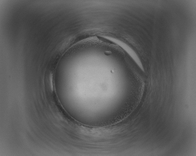 X0000051860022200506241333