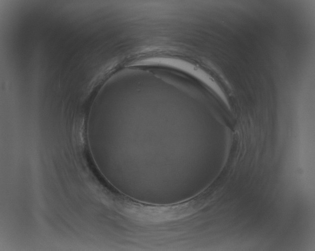 X0000051860023200506241333