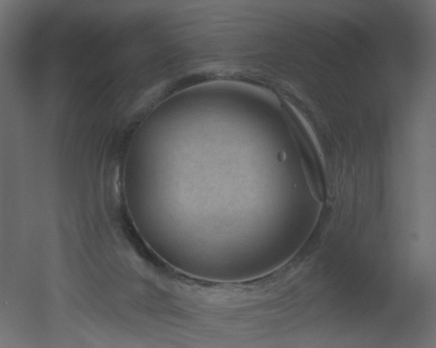 X0000051860024200506241333