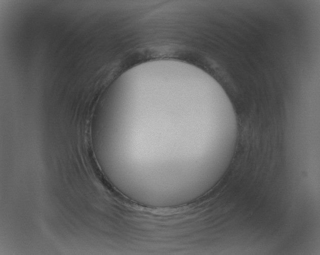 X0000051860026200506241333