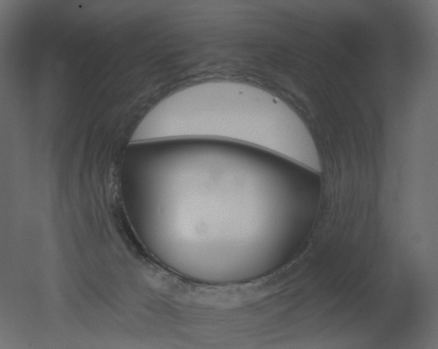 X0000051860029200506241333