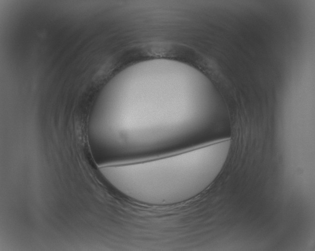 X0000051860031200506241333