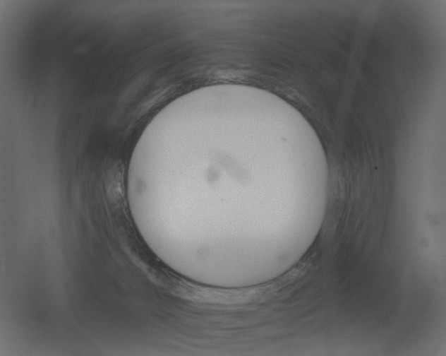 X0000051860032200506241333