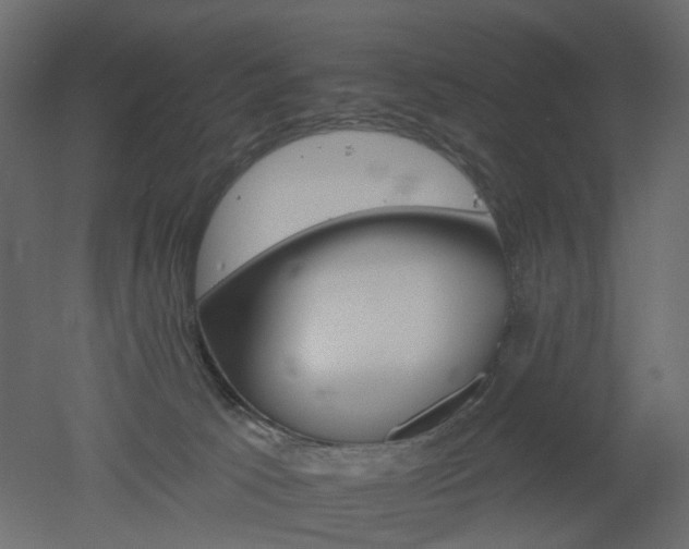 X0000051860033200506241333