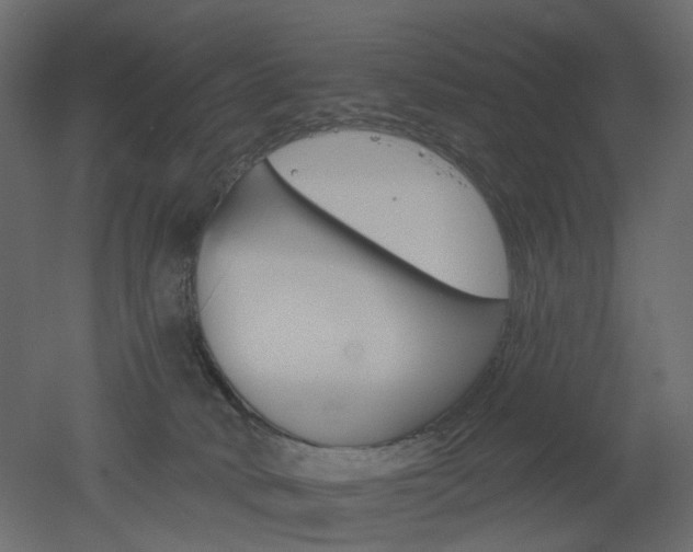 X0000051860034200506241333