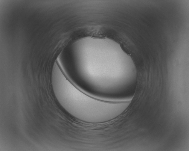 X0000051860035200506241333