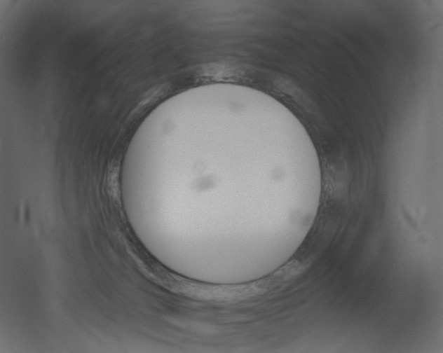 X0000051860036200506241333